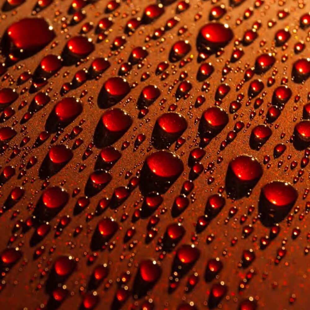 INNOVACAR S1 WASH&COAT SIO2 İçerikli Enzimli Su İtici Koruyucu Şampuan Konsantre - 1 lt