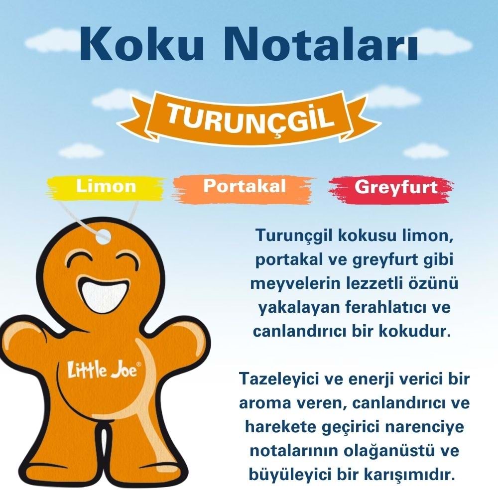 Little Joe Narenciye Araç Asma Koku (Citrus) -30 Gün -İpli Oto Kokusu -Ayna Parfümü