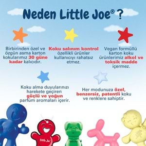 Little Joe Amber Araç Kokusu (Amber) -45 Gün -Oto Kokusu Kalıcı Klima Parfüm