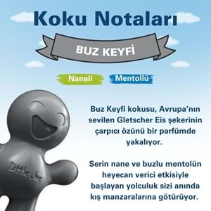 Little Joe Nane Mentol Araç Kokusu (Frosty Delight) -45 Gün -Oto Kokusu Kalıcı Klima Parfüm