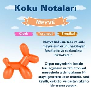 Little Joe Little Dog Meyve Araç Kokusu (Fruit) -45 Gün -Oto Kokusu Kalıcı Klima Parfüm