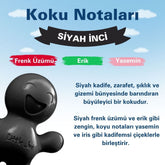 Little Joe Araç Kokusu - 45 Gün - Oto Kokusu Kalıcı Klima Parfüm - Siyah İnci