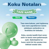 Little Joe Araç Kokusu - 45 Gün - Oto Kokusu Kalıcı Klima Parfüm - Taze Nane