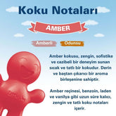 Little Joe Araç Kokusu - 45 Gün - Oto Kokusu Kalıcı Klima Parfüm - Amber