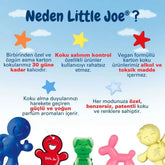 Little Joe Araç Kokusu - 45 Gün - Oto Kokusu Kalıcı Klima Parfüm - Kaşmir