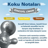 Little Joe Araç Kokusu - 45 Gün - Oto Kokusu Kalıcı Klima Parfüm - Zencefil Limon