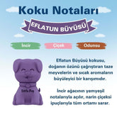 Little Joe Little Pup Araç Kokusu - 45 Gün - Oto Kokusu Kalıcı Klima Parfüm - İncir Ağacı