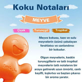 Little Joe Araç Kokusu - 45 Gün - Oto Kokusu Kalıcı Klima Parfüm - Meyve