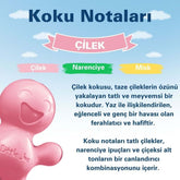 Little Joe Araç Kokusu - 45 Gün - Oto Kokusu Kalıcı Klima Parfüm - Çilek