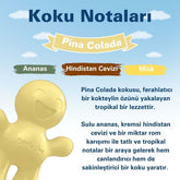 Little Joe Araç Kokusu - 45 Gün - Oto Kokusu Kalıcı Klima Parfüm - Ananas Hindistan Cevizi