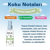 Little Joe Sprey Oda Kokusu 60 ml - Koku Giderici - Oto Ev Ofis Parfüm - Ferahlatıcı (Vital Energy)