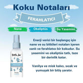 Little Joe Sprey Oda Kokusu 60 ml - Koku Giderici - Oto Ev Ofis Parfüm - Nane (Fresh Start)