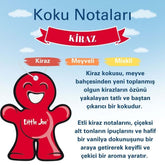 Little Joe Araç Asma Koku - 30 Gün - İpli Oto Kokusu - Ayna Parfümü - Kiraz
