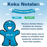 Little Joe Araç Asma Koku - 30 Gün - İpli Oto Kokusu - Ayna Parfümü - Okyanus