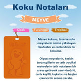 Little Joe Kokulu Dolap Asma Kart - 45 Gün - İpli Ev Oto Kokusu - Ayna Parfümü - Meyve