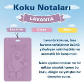 Little Joe Kokulu Dolap Asma Kart - 45 Gün - İpli Ev Oto Kokusu - Ayna Parfümü - Lavanta