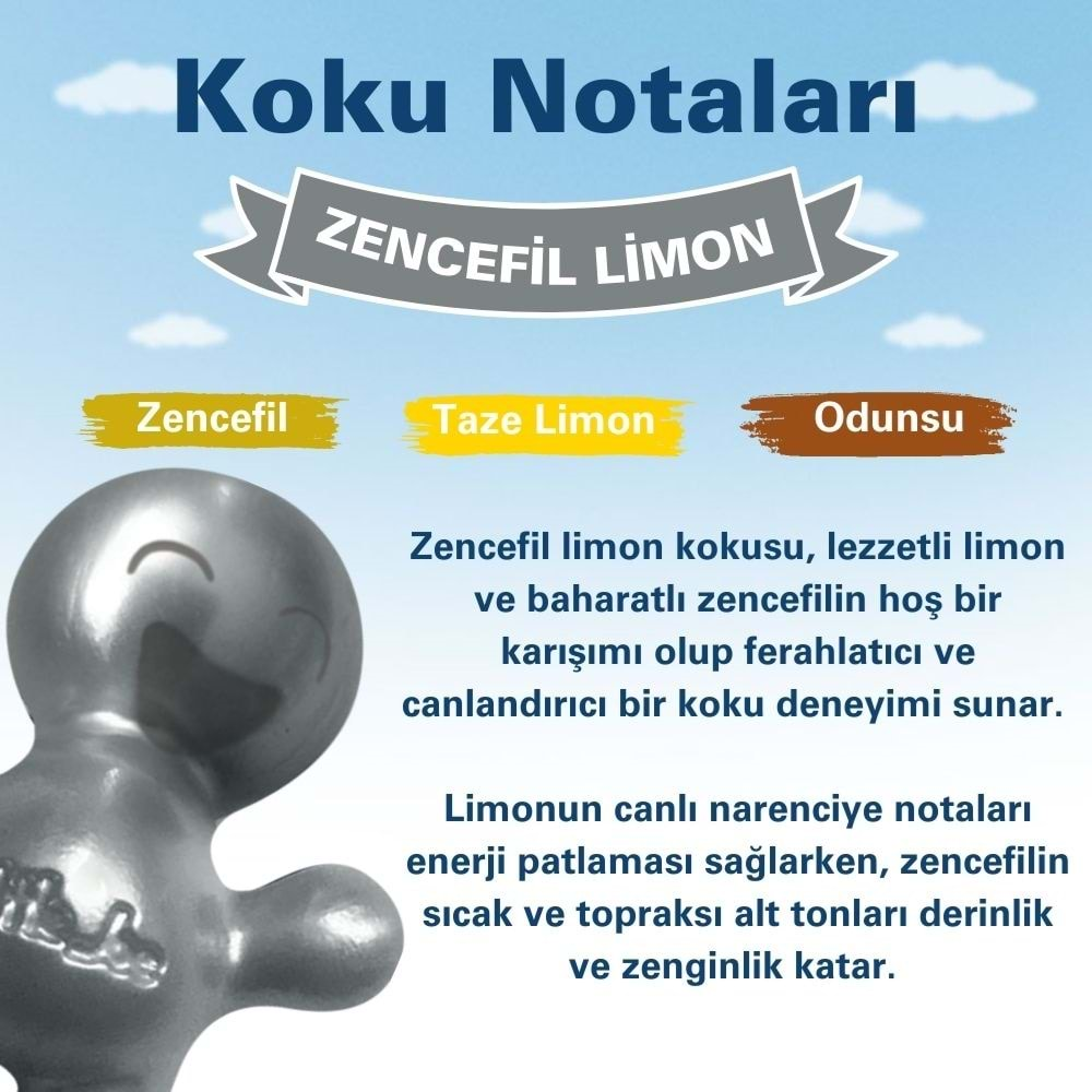 Little Joe Zencefil Limon Araç Kokusu (Ginger) -45 Gün -Oto Kokusu Kalıcı Klima Parfüm