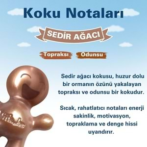 Little Joe Sedir Ağacı Araç Kokusu (Cedarwood) -45 Gün -Oto Kokusu Kalıcı Klima Parfüm