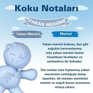 Little Joe Little Joya Yaban Mersini Araç Kokusu (Blueberry)-45 Gün-Oto Kokusu Kalıcı Klima Parfüm