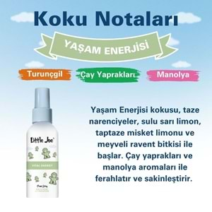 Little Joe Ferahlatıcı Sprey Oda Kokusu 60 ml (Vital Energy) -Koku Giderici -Oto Ev Ofis Parfüm