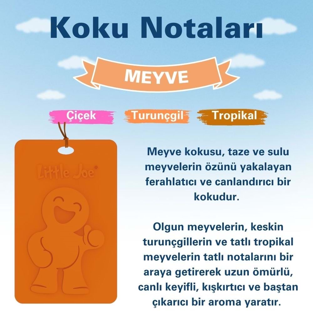 Little Joe Meyve Kokulu Dolap Asma Kart (Fruit) -45 Gün -İpli Ev Oto Kokusu -Ayna Parfümü