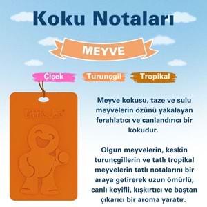 Little Joe Meyve Kokulu Dolap Asma Kart (Fruit) -45 Gün -İpli Ev Oto Kokusu -Ayna Parfümü