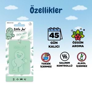 Little Joe Taze Nane Kokulu Dolap Asma Kart (Fresh Mint) -45 Gün -İpli Ev Oto Kokusu -Ayna Parfümü