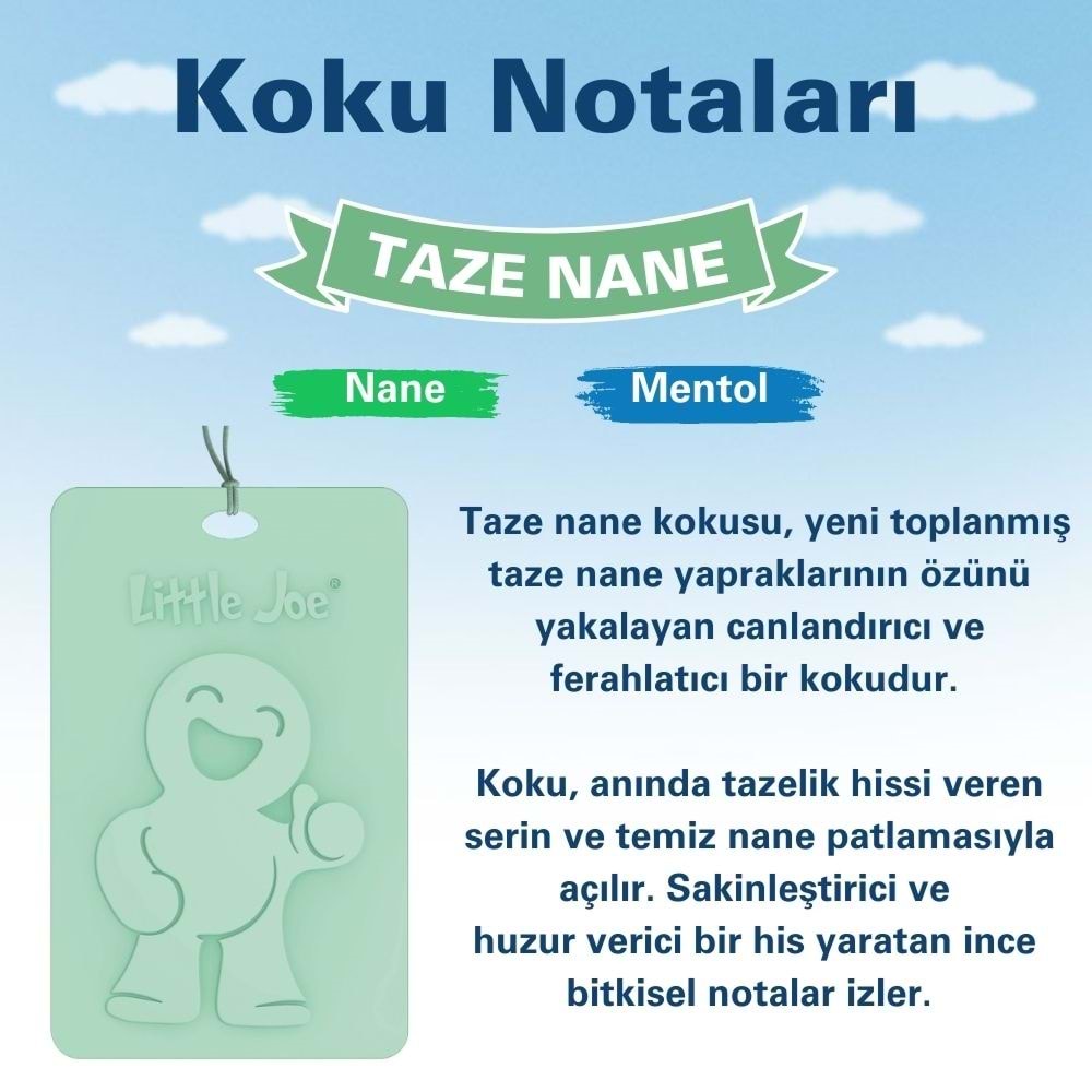 Little Joe Taze Nane Kokulu Dolap Asma Kart (Fresh Mint) -45 Gün -İpli Ev Oto Kokusu -Ayna Parfümü