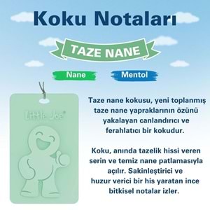 Little Joe Taze Nane Kokulu Dolap Asma Kart (Fresh Mint) -45 Gün -İpli Ev Oto Kokusu -Ayna Parfümü